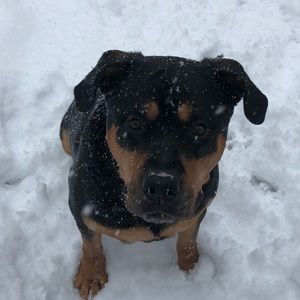 Meet your Posher, Karen